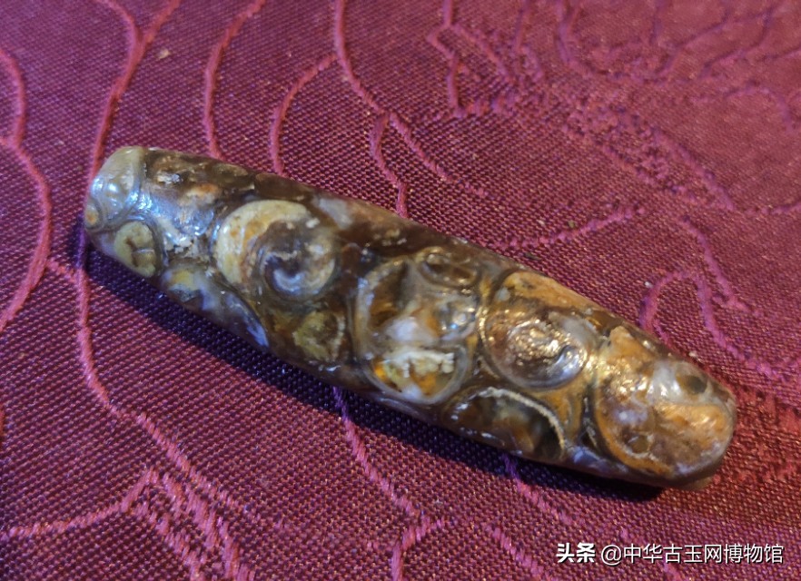 罕见的古老法螺天珠,真正的天珠,第一代天珠(九眼天珠是什么东西) 第1