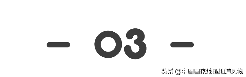四省交界的“世界梨都”，到底有多拼？