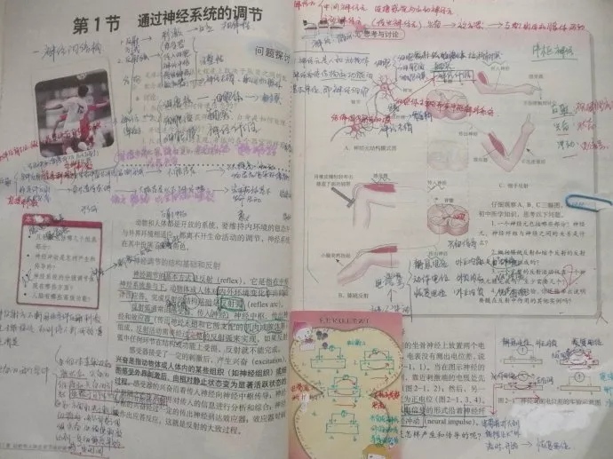 教案，我支持在教科书上写