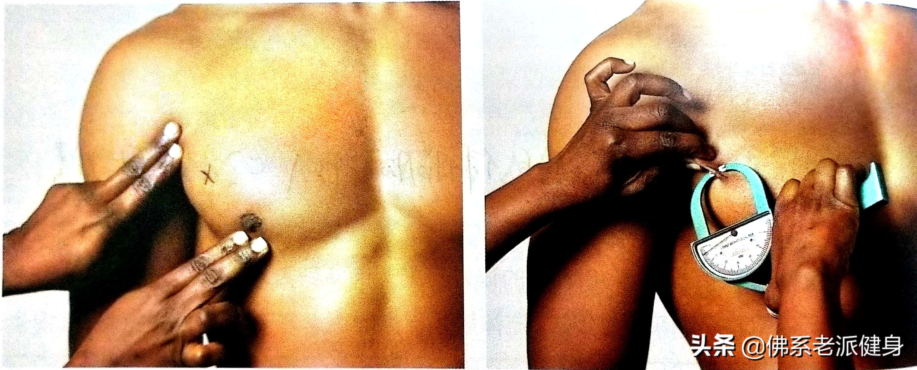 测量体脂率的仪器准确吗？教你在家测量体脂率，比健身房的还要准