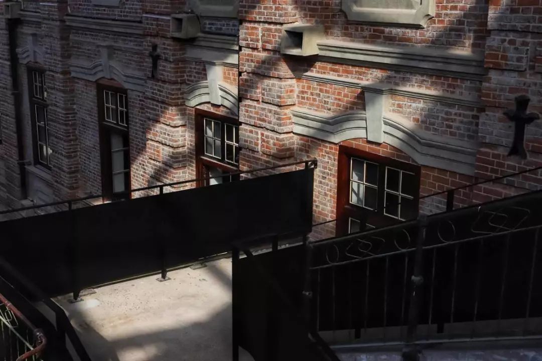 武汉大学的樱花开了！还有这些景点统统免费…