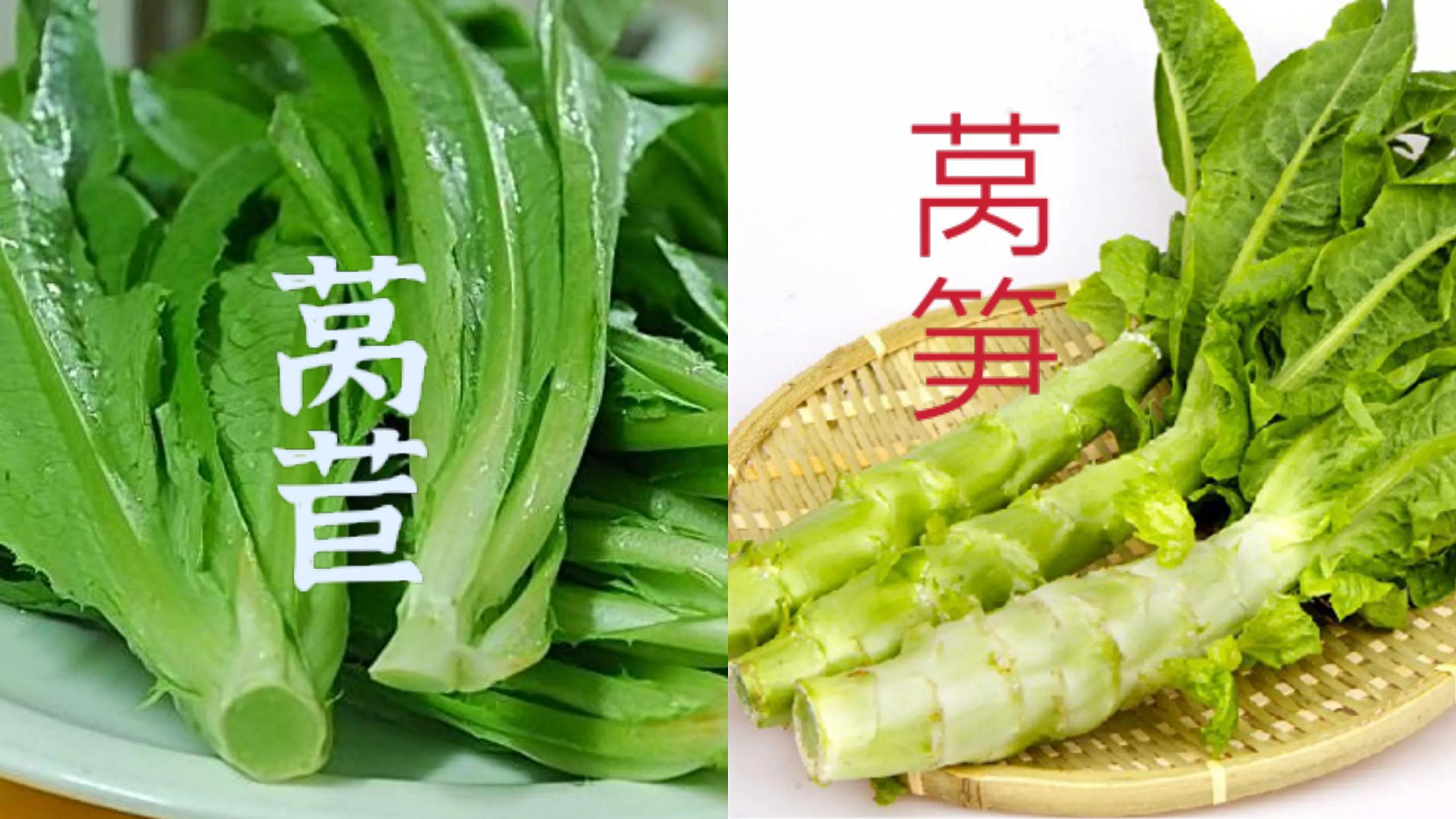 莴苣和莴笋的区别(莴笋和莴苣有什么区别,很多人不知道,看完以后就懂