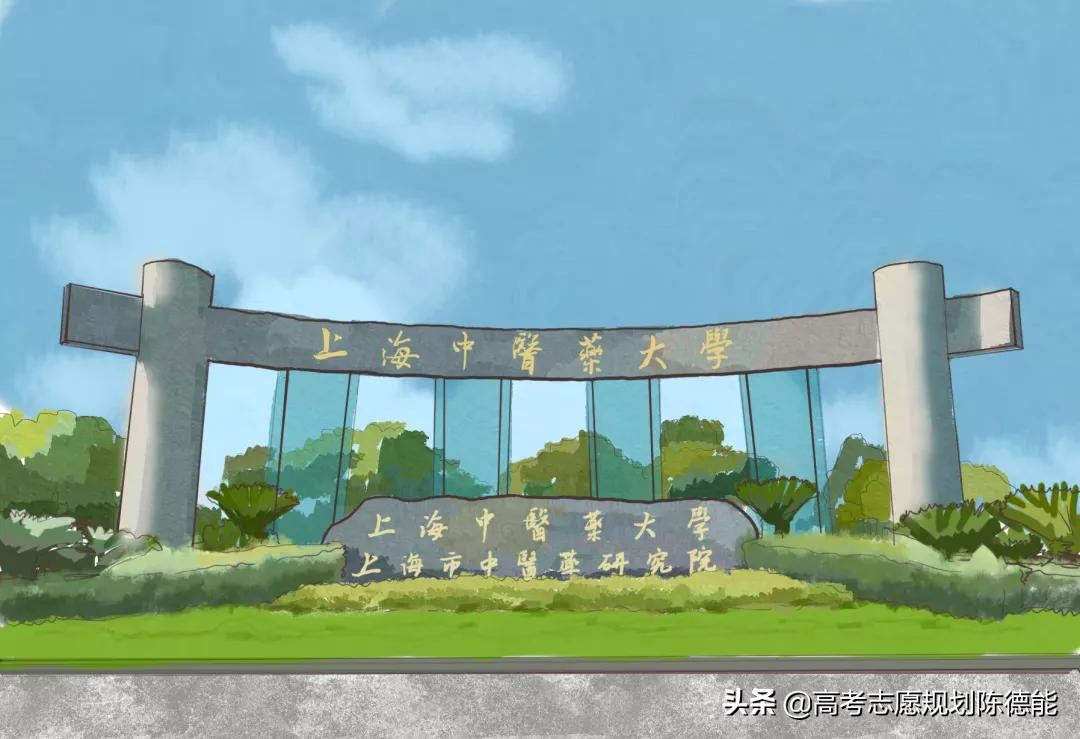 上海市十五所高校学科实力琅琊榜