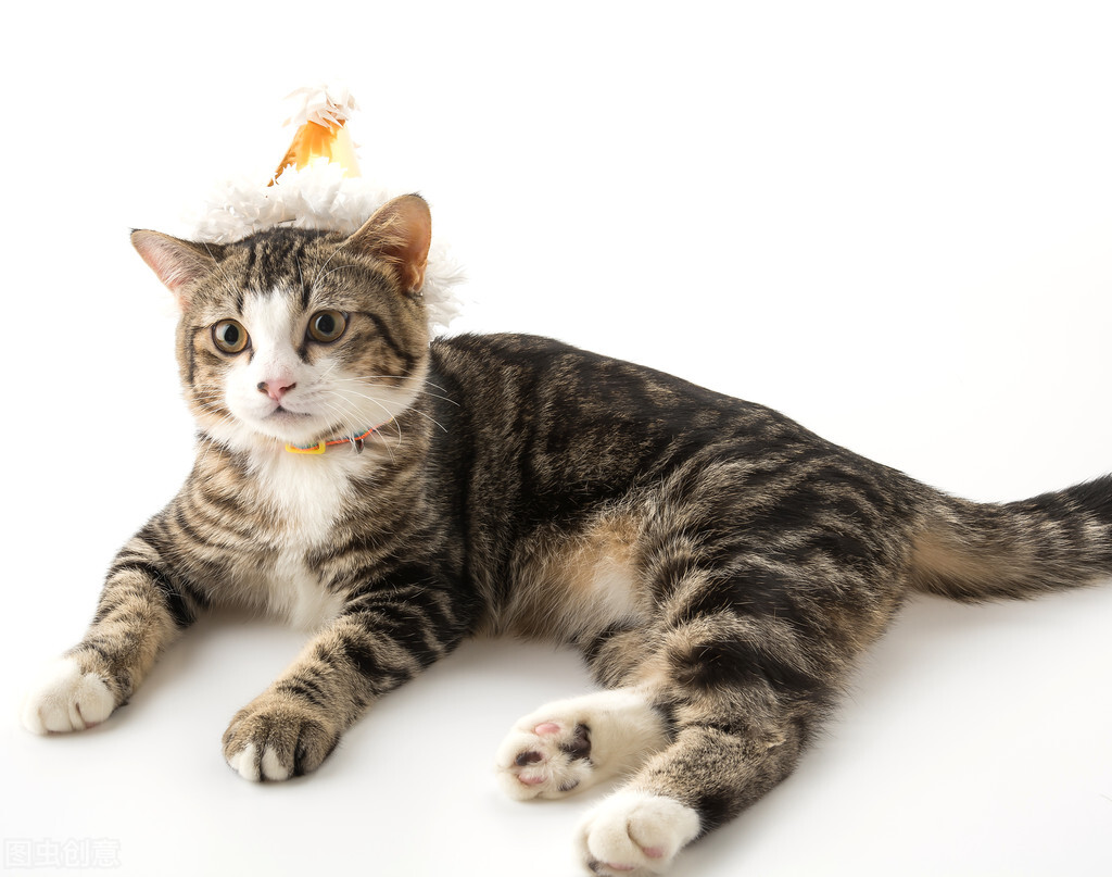 小学英语教学相关论文：小学英语绘本阅读教学活动设计