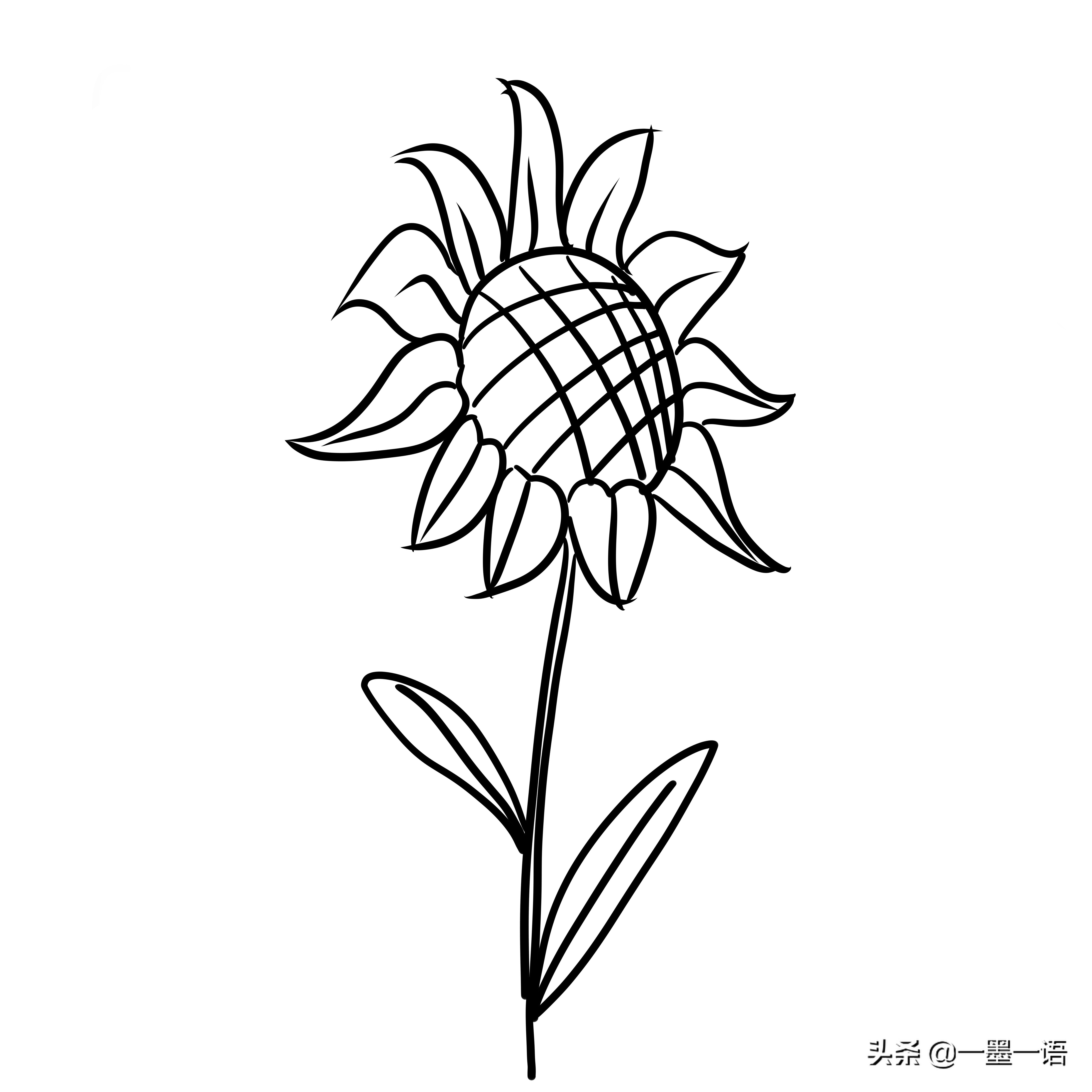 向日葵图片简笔画（向日葵国画工笔画法步骤）