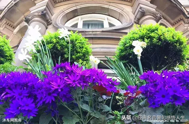 亲情,永远最重要