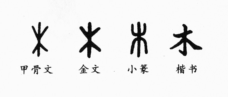 《于丹趣品汉字》:从汉字谈我们的价值观和世界观