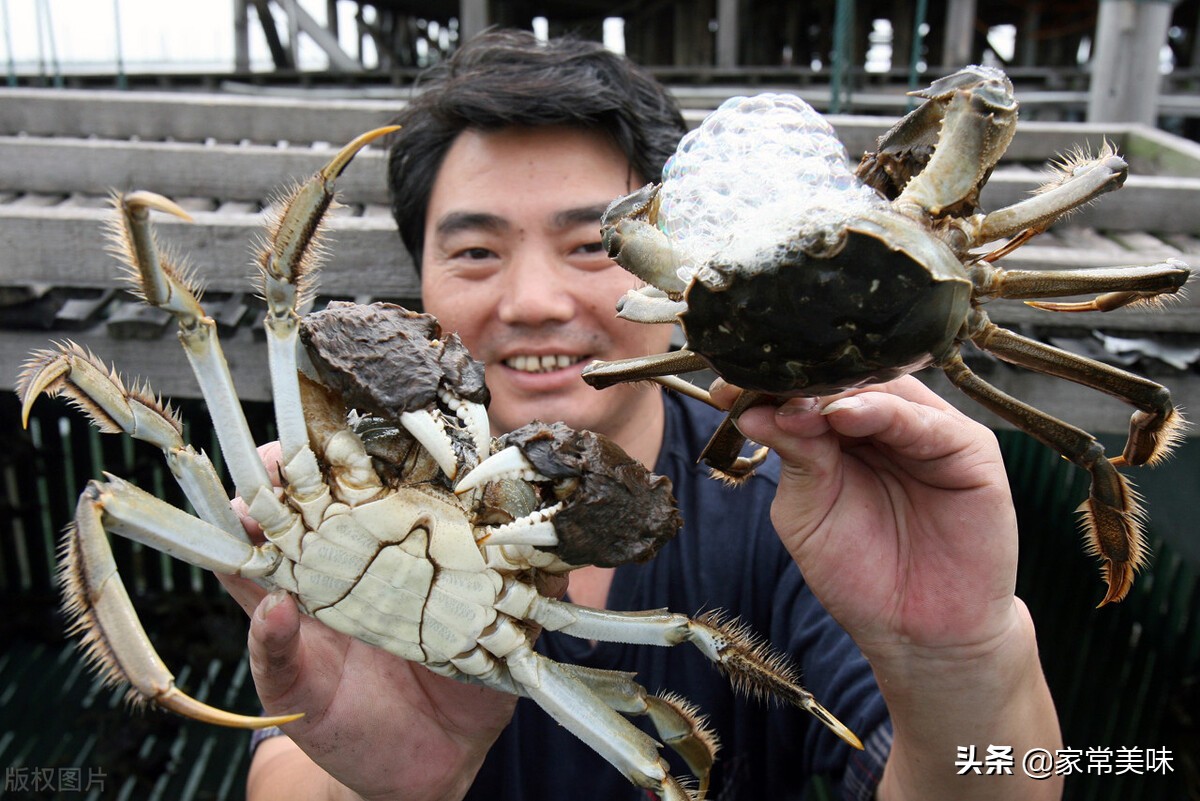 中国十大名蟹排行榜(全国哪里的大闸蟹最好吃？中国十大大闸蟹排行榜，看看你吃过几种)