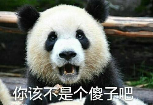 国宝熊猫表情包合集｜大哥，给口饭吃吧