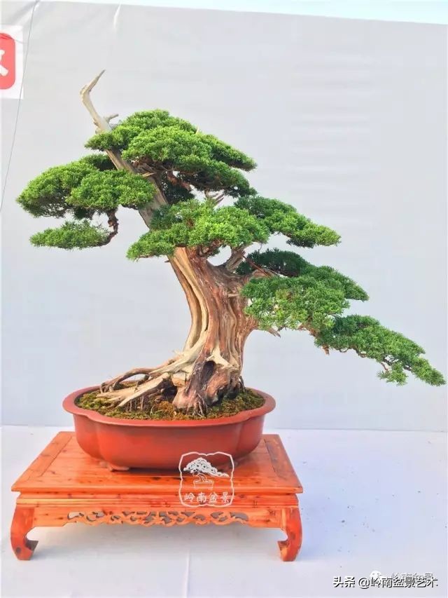 辰(ؼ辰(60ͼ))