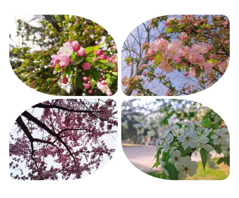 属于你我的，山师四季