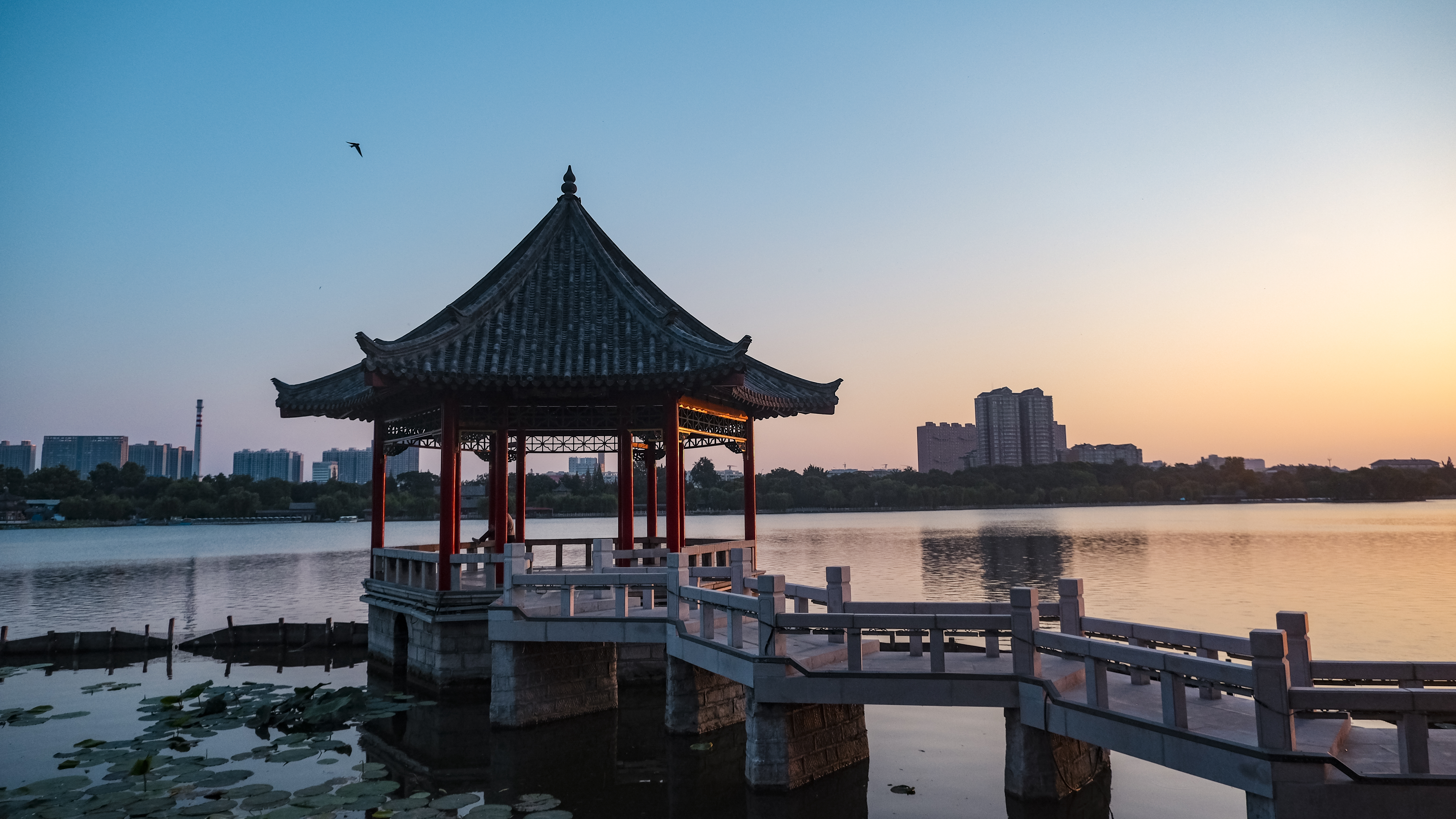 夏末初秋，大明湖的风景，这样看才浪漫！