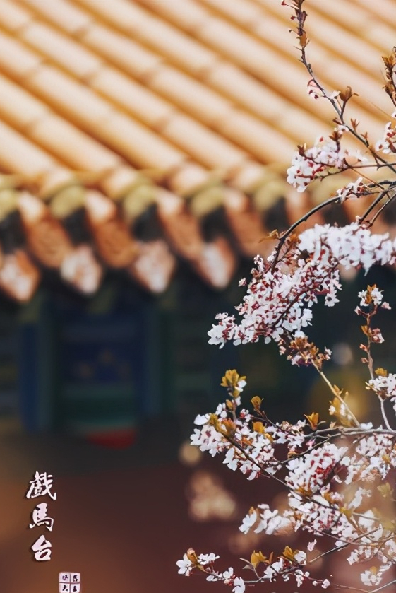 浅谈全国34个省级区域之华东篇：江苏省—徐州市