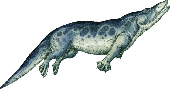 一种早在3390万年前就灭绝的生物,是鲸鱼的祖先然而这个生物出现在