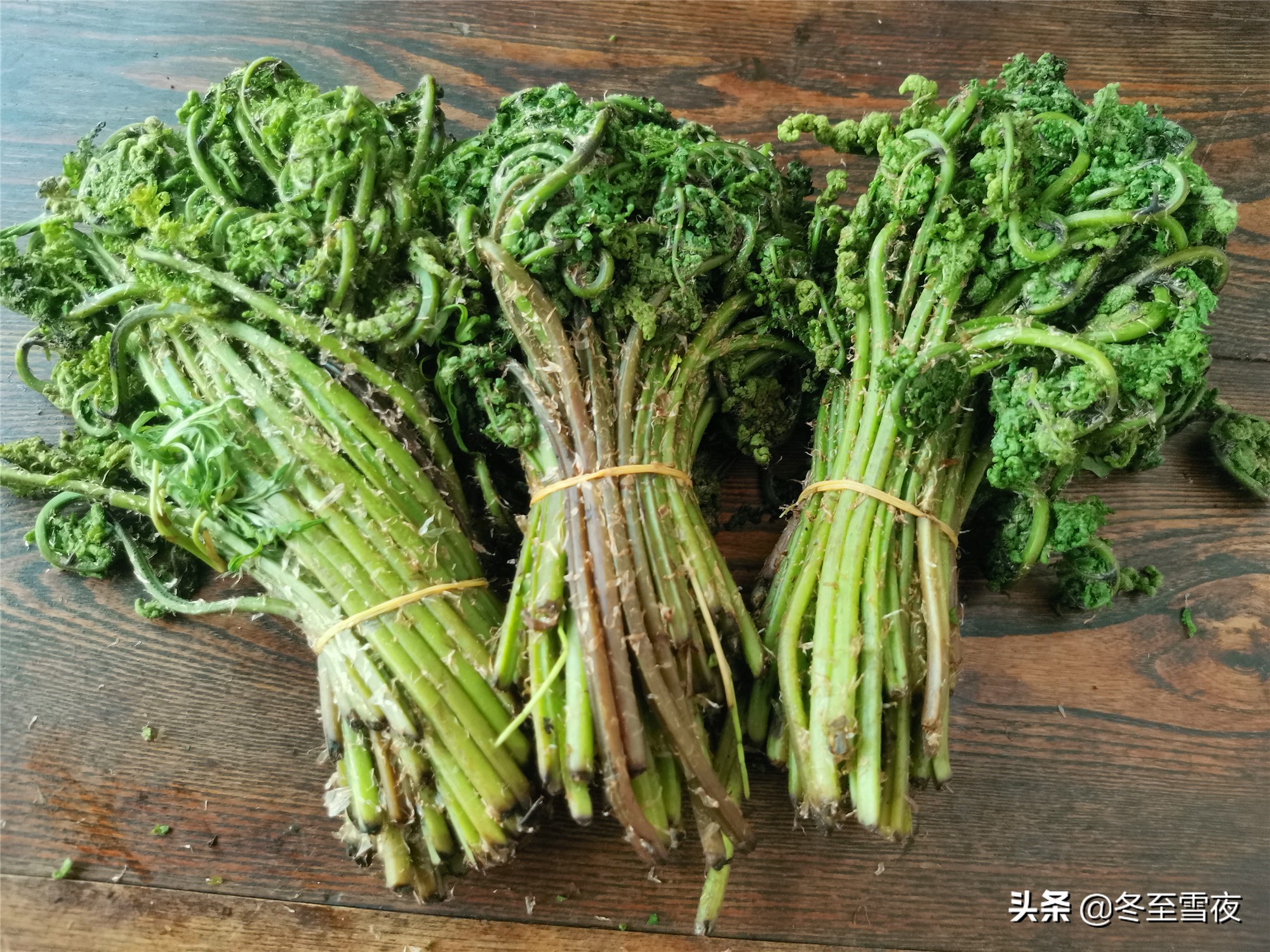 东北农村,常吃的16种山野菜,现在城市里很少见,你吃过几种?