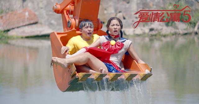 羊駝價格,羊駝價格是多少錢一只