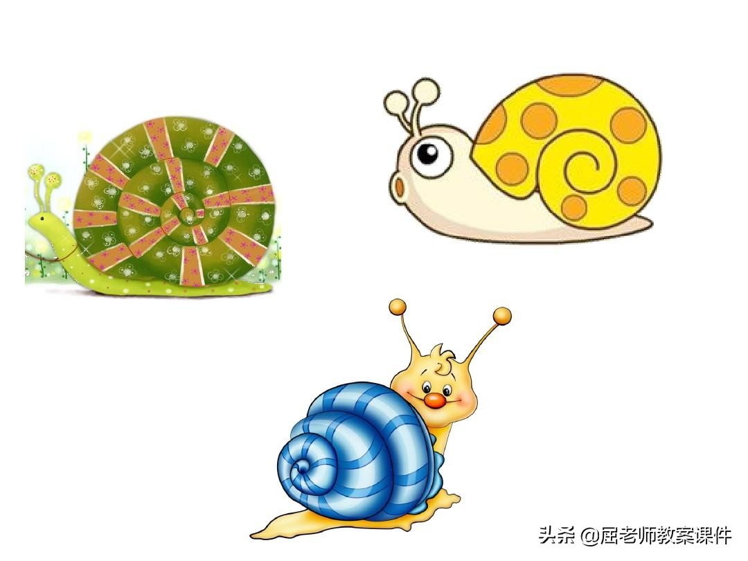 小班绘画蜗牛教案图片