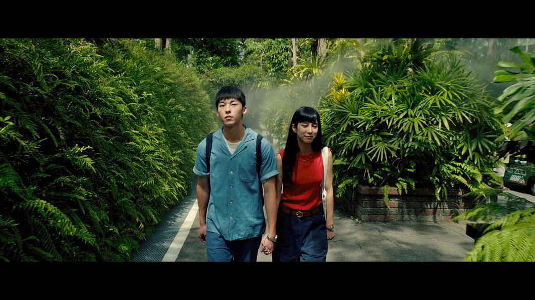 阳光普照电影剧情「介绍」 _晶羽科技