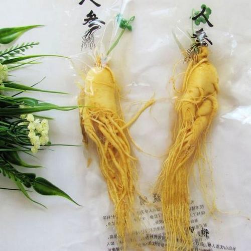 人参又名“人身”，与人齐寿；如何补身体，《神农本草经》说过了