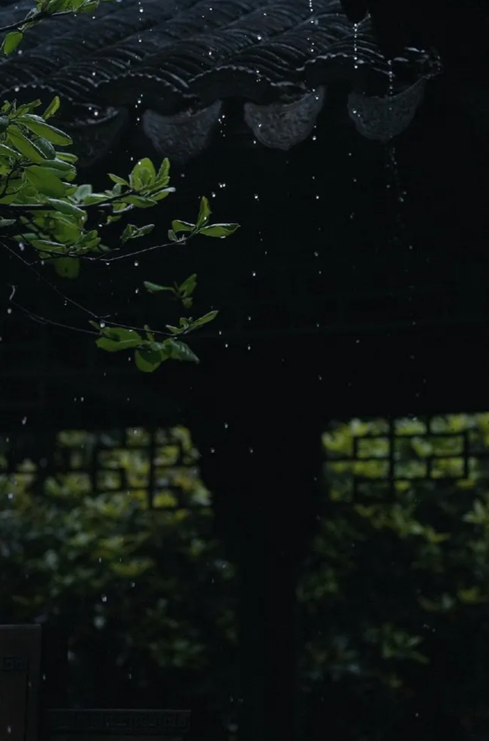 「诗词鉴赏」夏日临窗听雨，闲读诗书，感受大自然的天籁之音