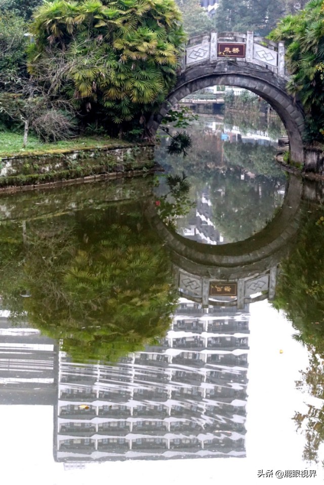 鹿眼视界 · 我的随拍之354 西南石油大学南充校区一瞥