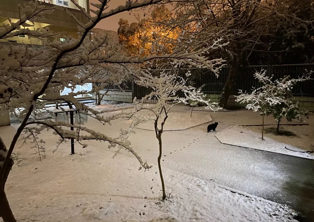 爱上江苏这所百年名校，只要这10句话就够了！