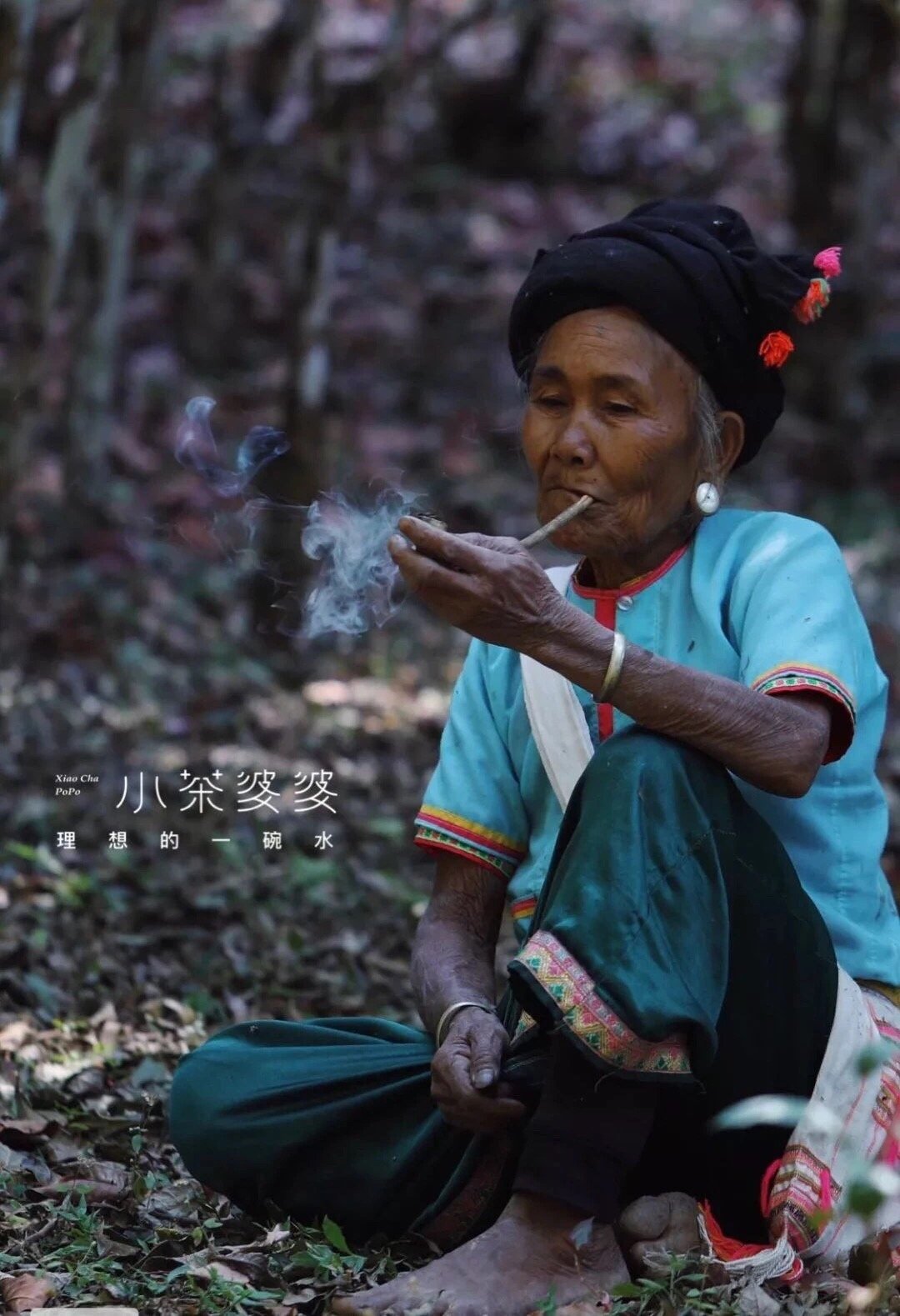 寻香景迈 | 景迈山是云南最美的茶山，云海养心，姑娘养眼