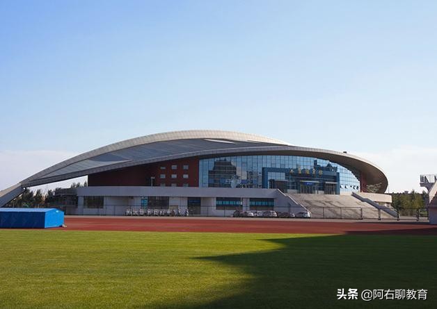 沈阳除了东北大学和辽宁大学外，还有哪些高校比较突出？