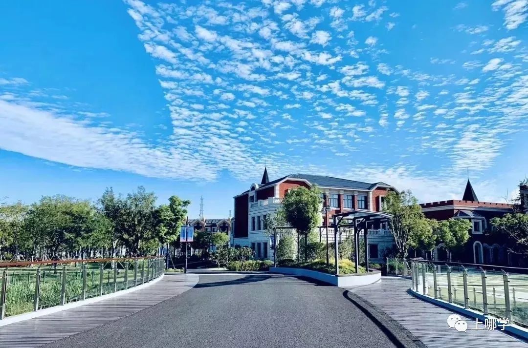 不对口也能进！上海3所优质公办小学非地段录取，今年招生变化大