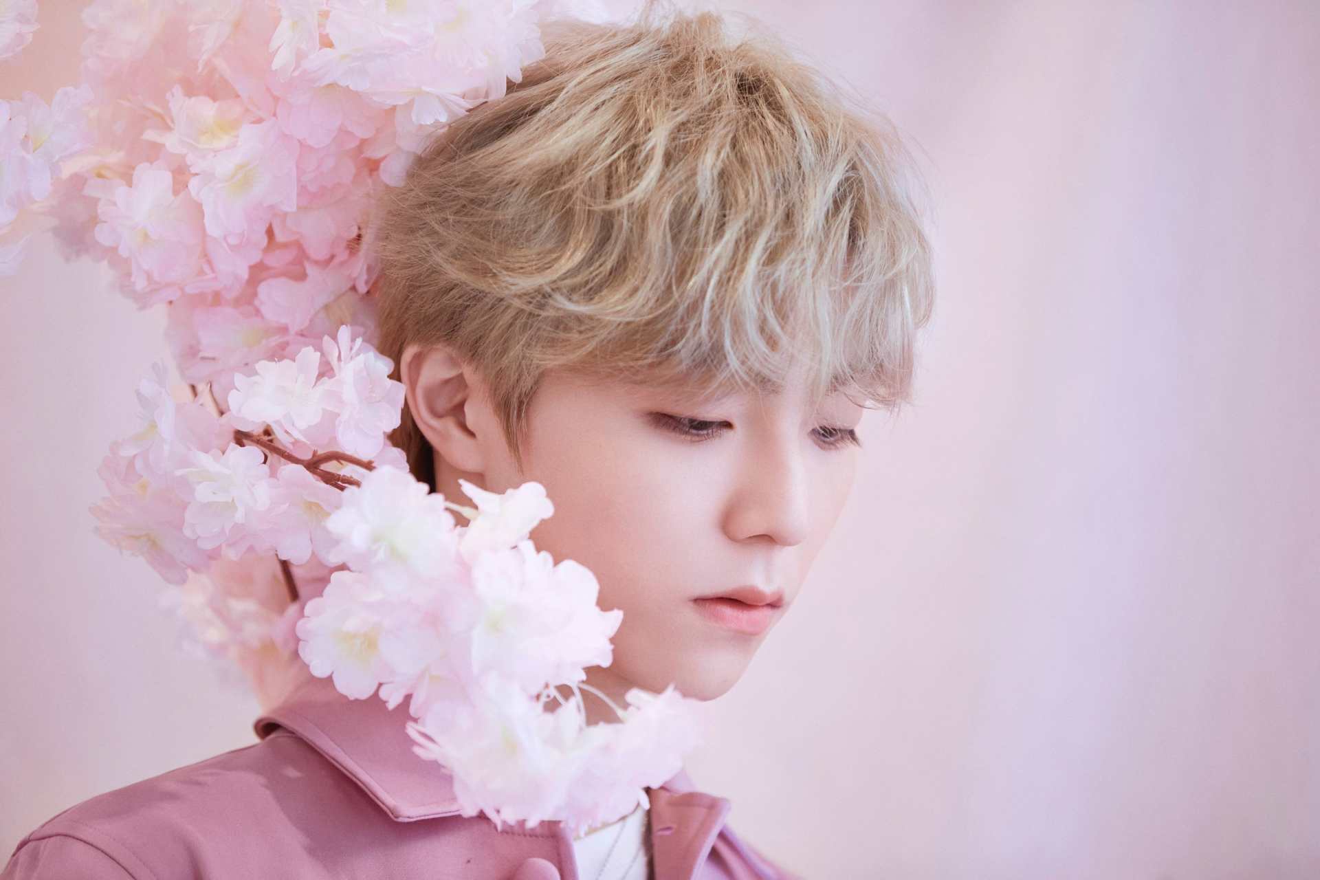 百分九男孩出道三周年：内娱选秀天花板，聚是一团火，散是满天星