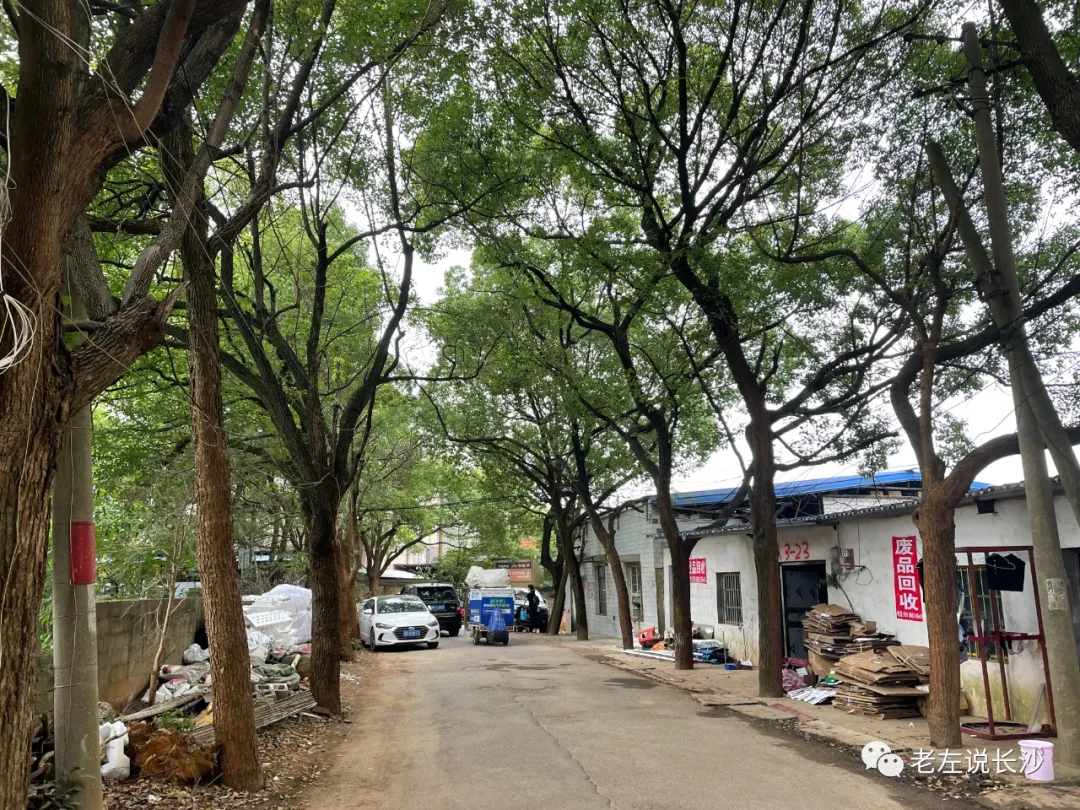 实拍！麓山国际二小、长郡双语谷山中学最新进展