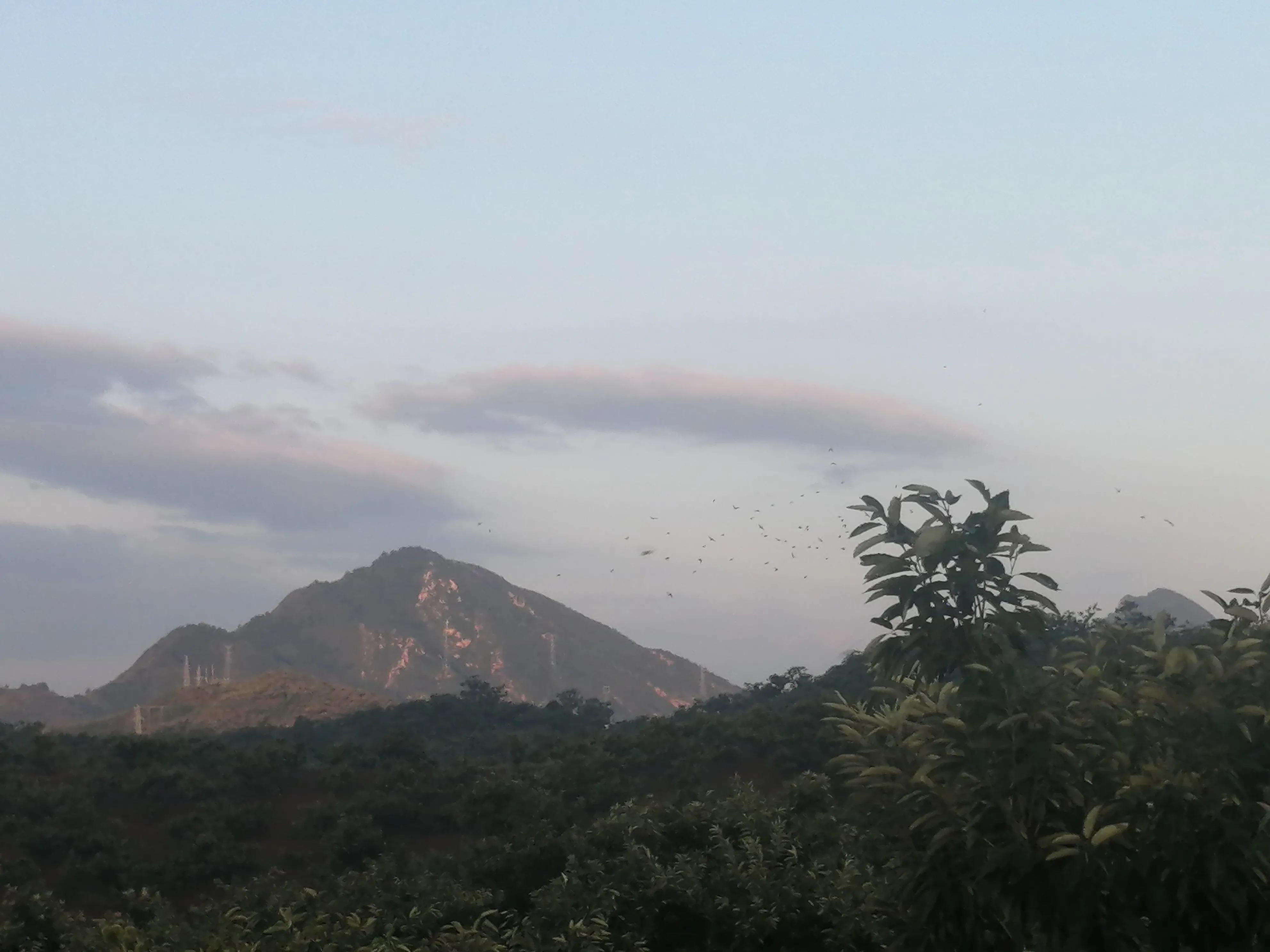 《雨后秋晨》