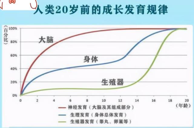 孩子智力并非全靠遗传,有三次变聪明的机会,父母要多注意