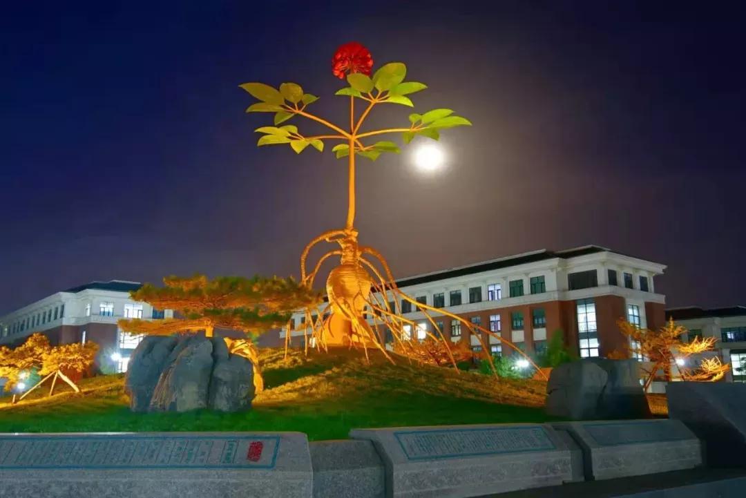 多少分能上天津中医药大学？