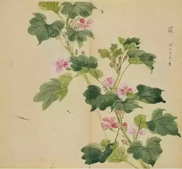 《诗经》太熟悉了吧,但《诗经》里的这些字,你认识吗?