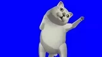 “奇怪的知识增加了！”什么梗？笑到抽搐