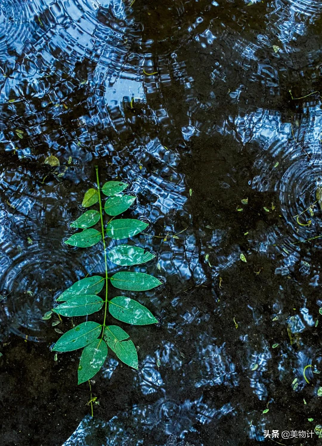 秋雨敲窗,慢度小时光