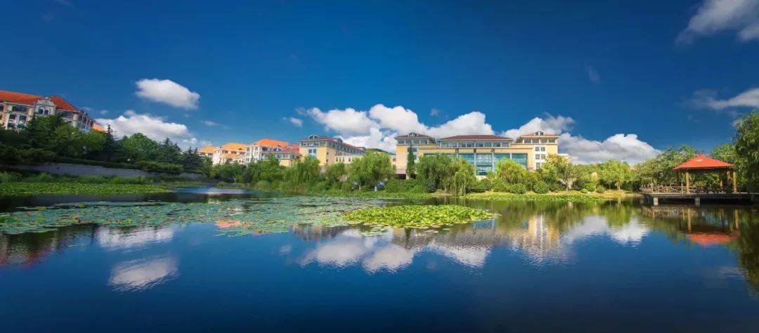 山东青岛岛城最美的4所国际学校，你最想送孩子去哪个？