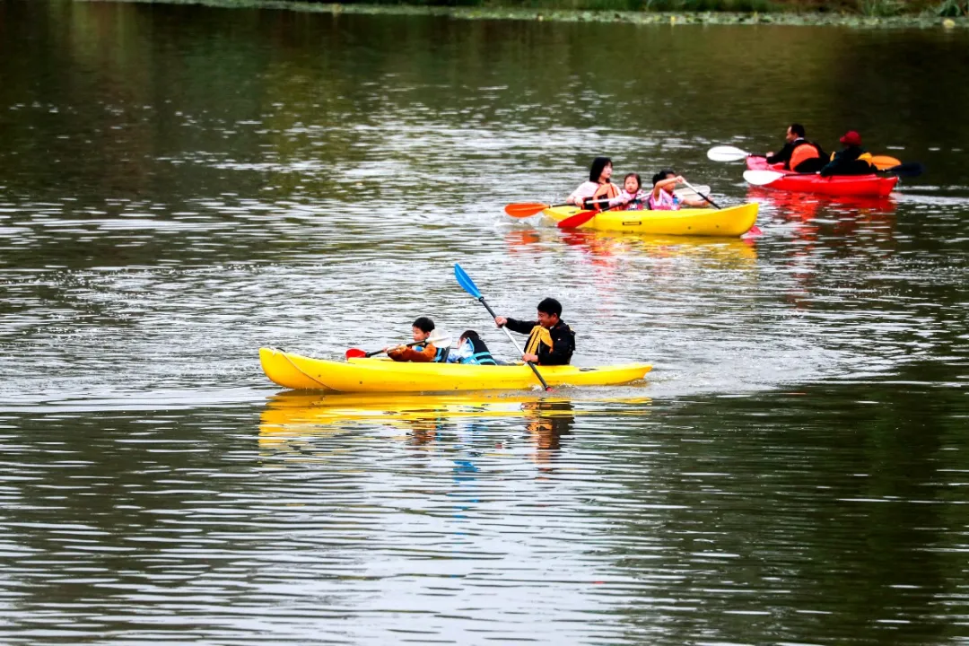 清明节去哪玩？重庆这些地方值得去踏青