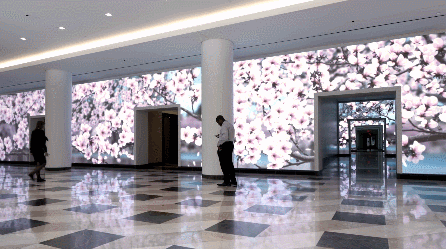 联考266.8文化445，中南财经政法大学数字媒体艺术录取合适吗？