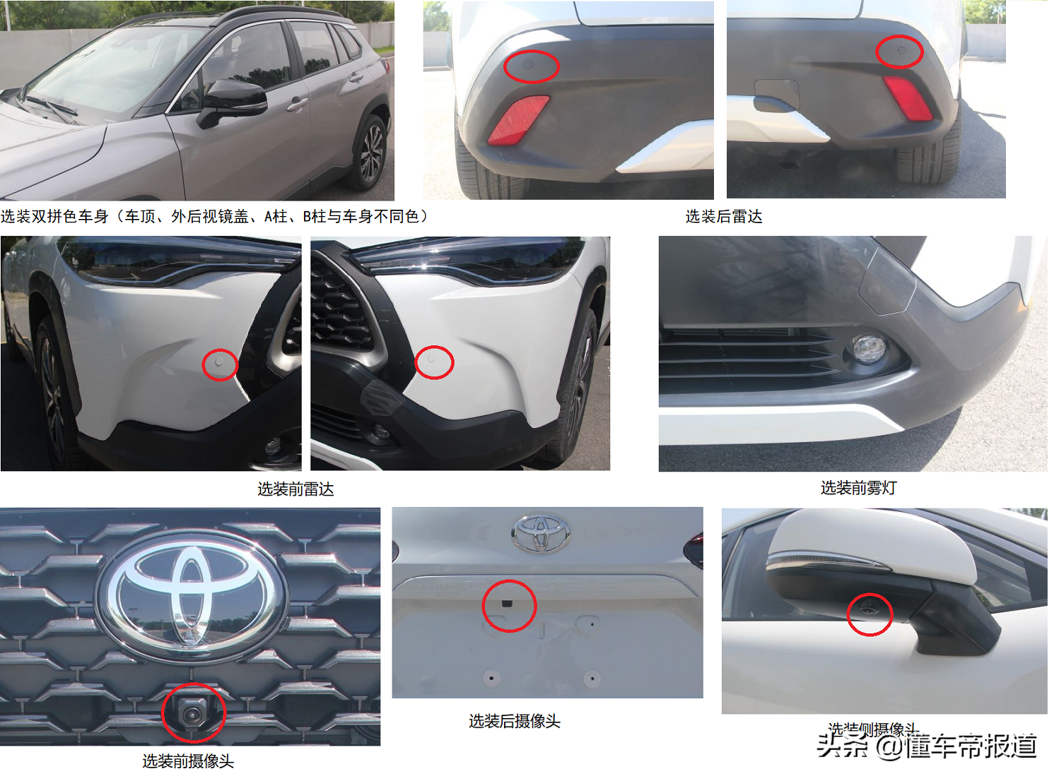 新车｜不仅有国际大牌，还有国货之光，广州车展值得期待品牌盘点