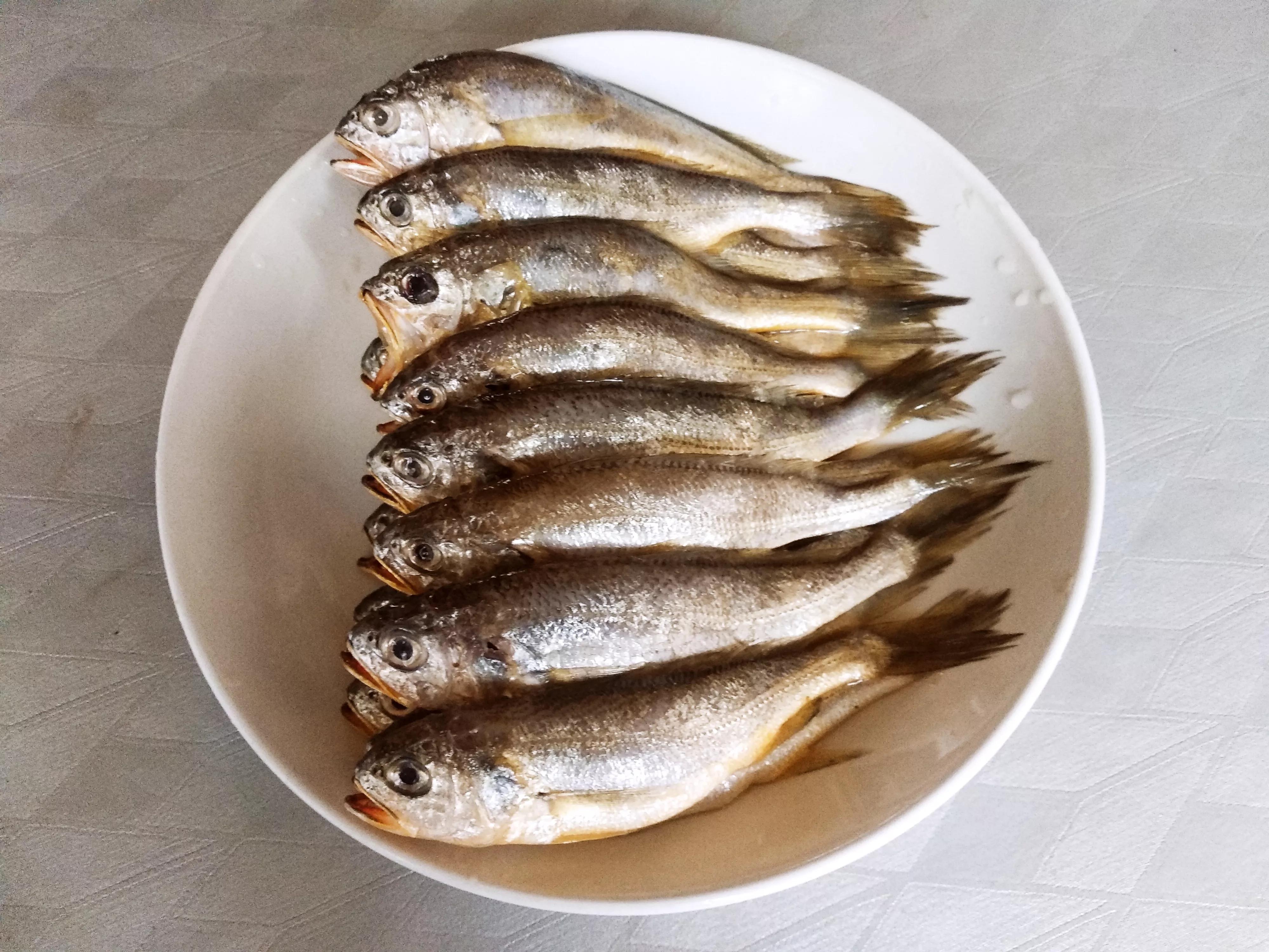 海魚的種類圖片,海魚種類名稱圖片大全