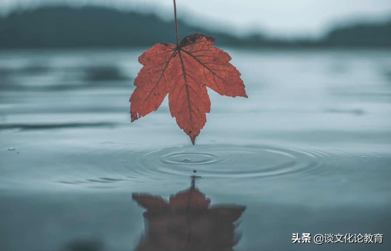 埏埴的正确读音及含义解析