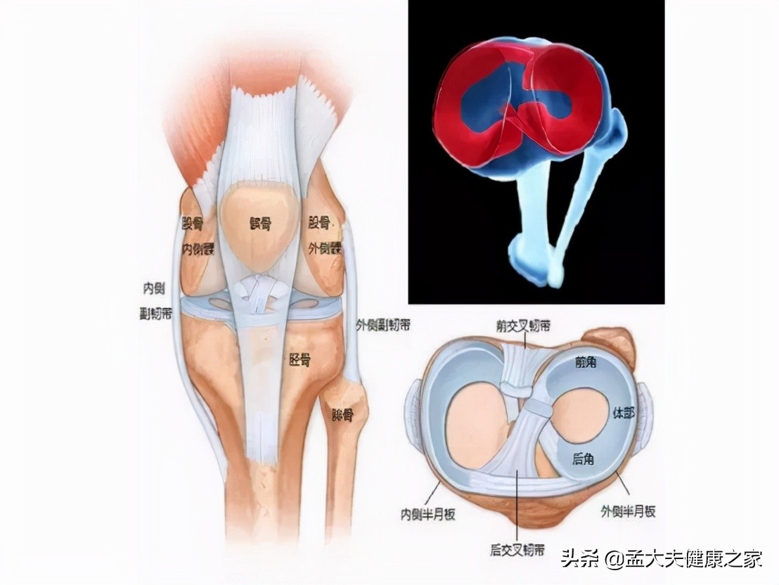 尿酸高，如何让尿酸排出体外？总结3个办法，实用有效