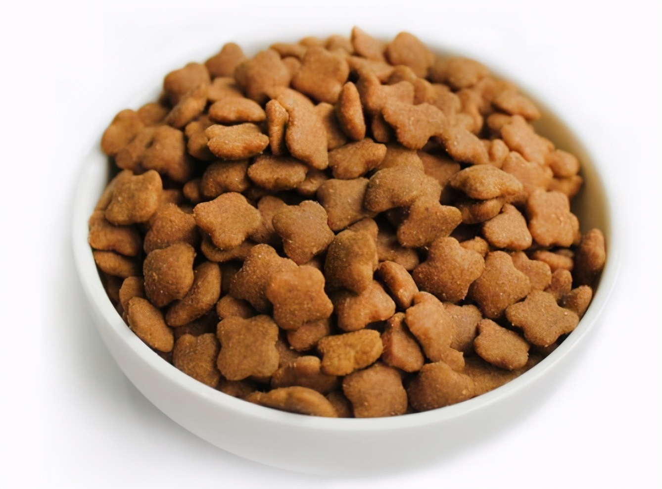 低脂狗粮哪个牌子好(低脂燕麦哪个牌子好) - 114货源网