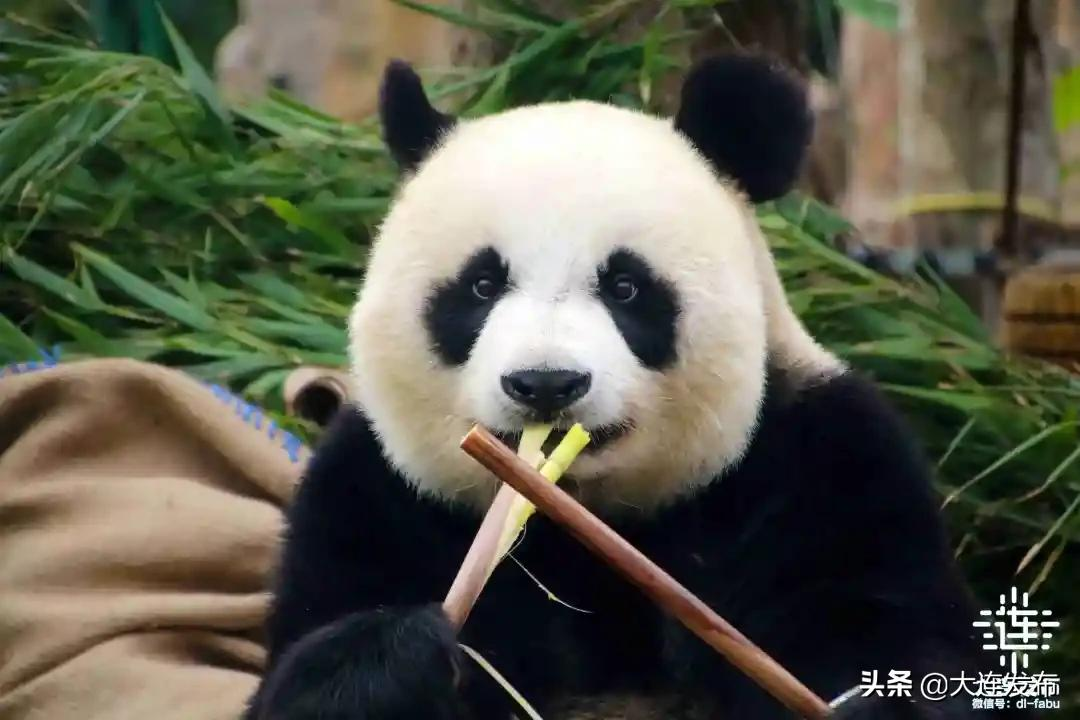 黄金周不离连,一样嗨玩!