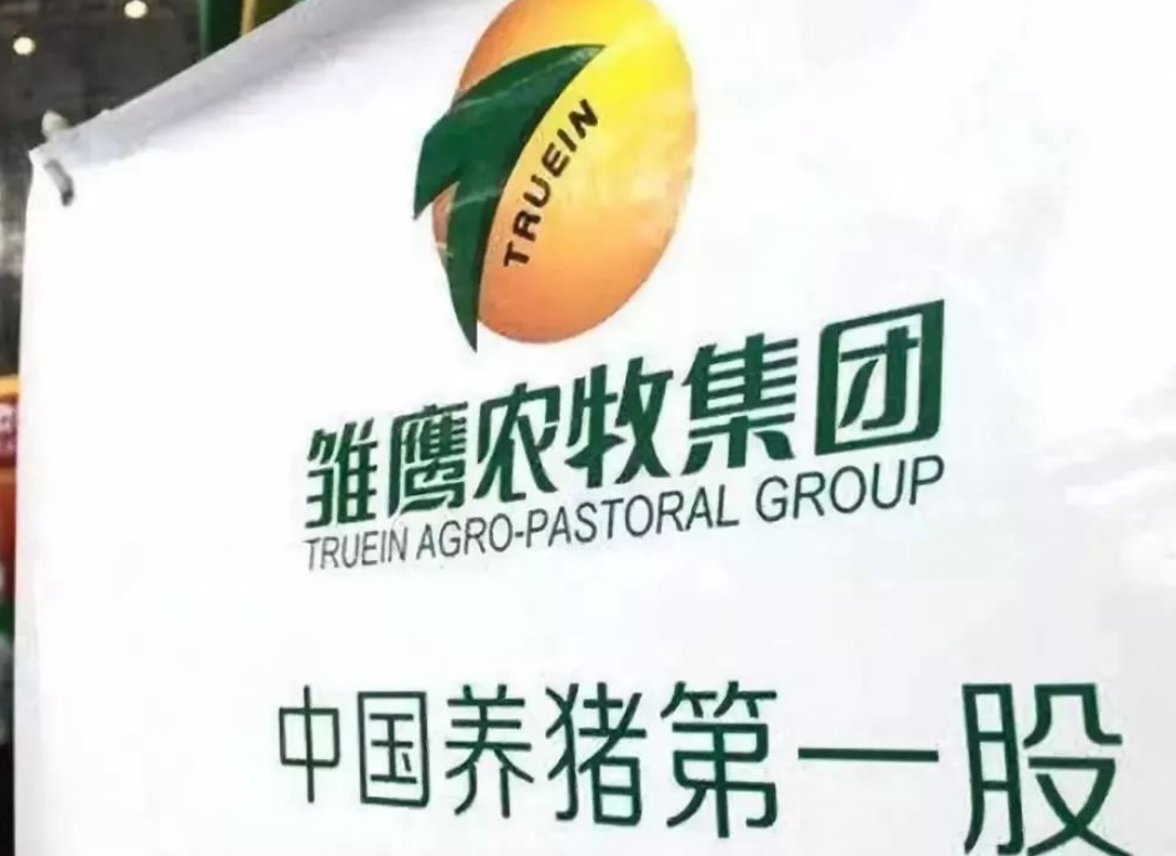 饿死200万头猪？“养猪第一股”倒了，亏损30亿靠破产公司续命