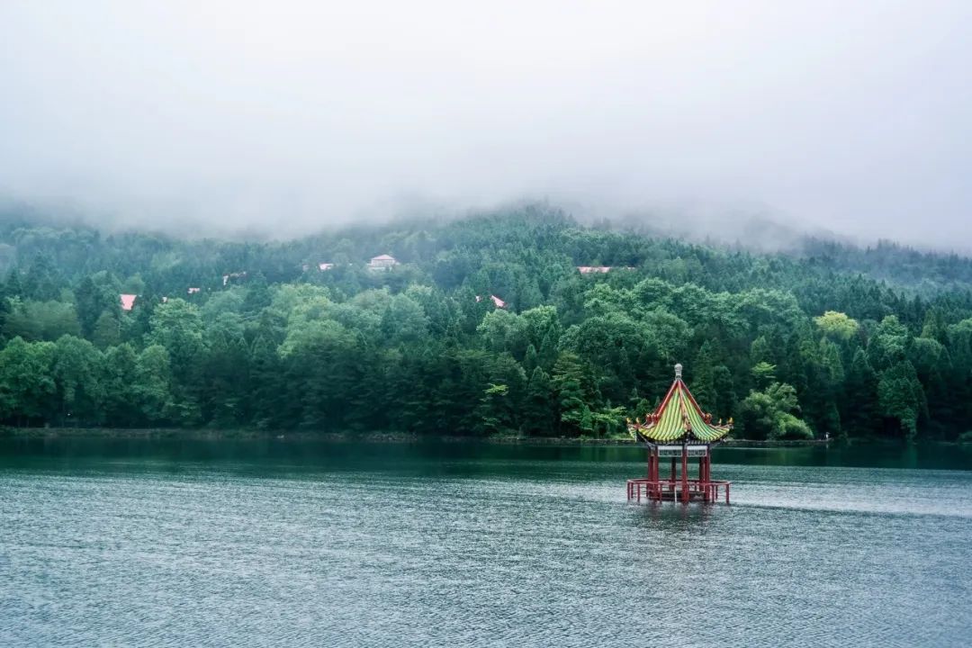 读诗｜下雨了，我真的好想你