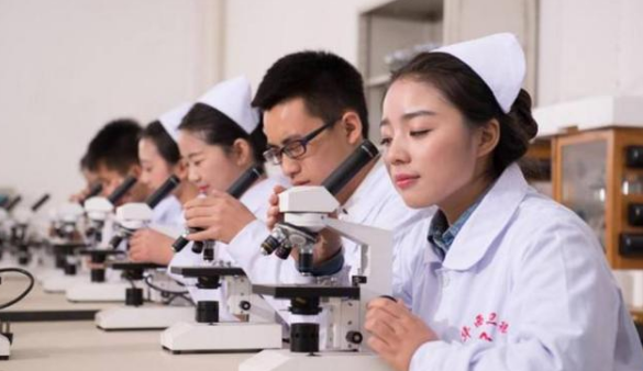 备受00后追捧的热门专业，90后表示看不懂，真的有前途吗