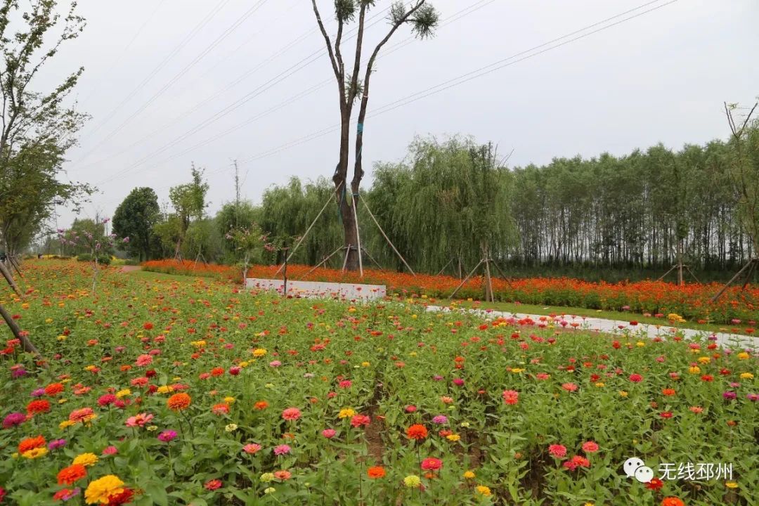 初秋 邳州藏着最美景色 千万别错过了 泡芙灯旅行